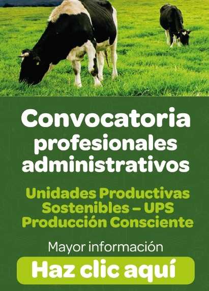 Publicidad 1