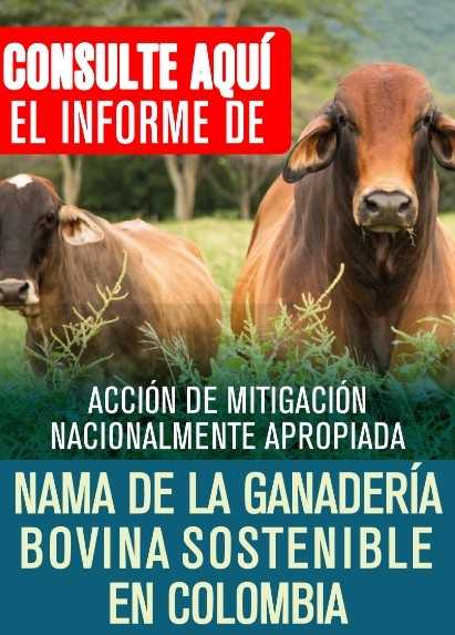 Publicidad 2