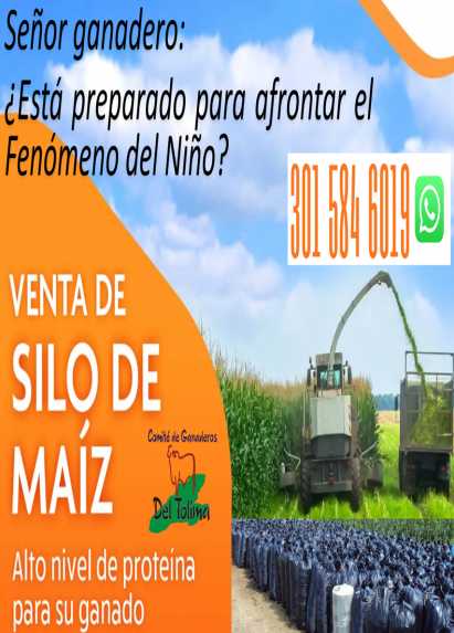 VENTA DE SILO DE MAIZ