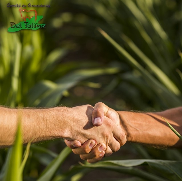Dos personas estrechándose la mano en un campo de cultivo, con el logo del Comité de Ganaderos del Tolima en la esquina superior izquierda