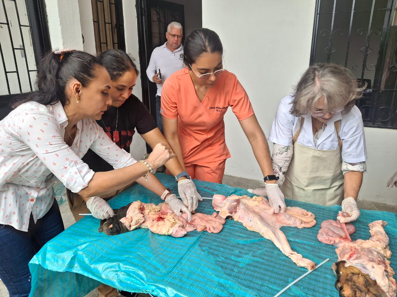 FORTALECIMIENTO GANADERO