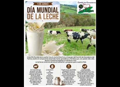 ¡Feliz Día Mundial de la Leche!