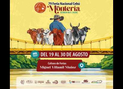 FERIA NACIONAL BOVINA EN MONTERIA