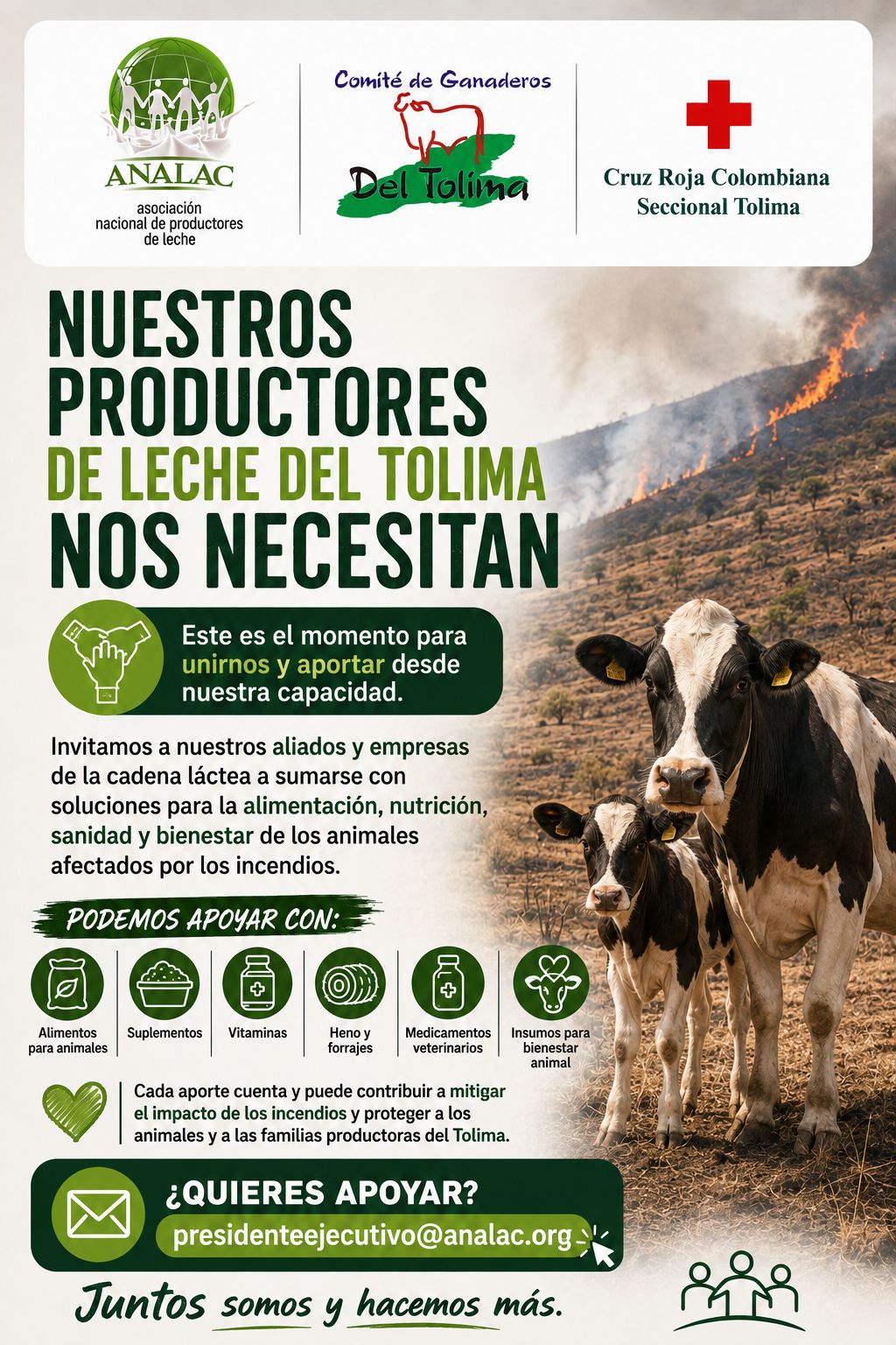 🚨 ¡NUESTROS PRODUCTORES DE LECHE DEL TOLIMA NOS NECESITAN! 🚨