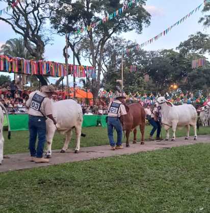 FERIA AGROPECUARIA E INDUSTRIAL BOVINA GRADO A N. 57 DE 2025