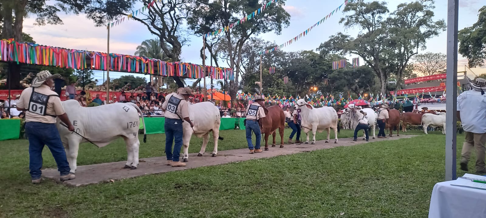 FERIA AGROPECUARIA E INDUSTRIAL BOVINA GRADO A N. 57 DE 2025