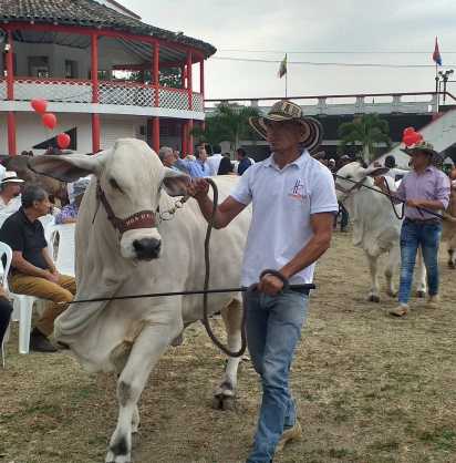 CONVENIO N° 156 DE 2022
