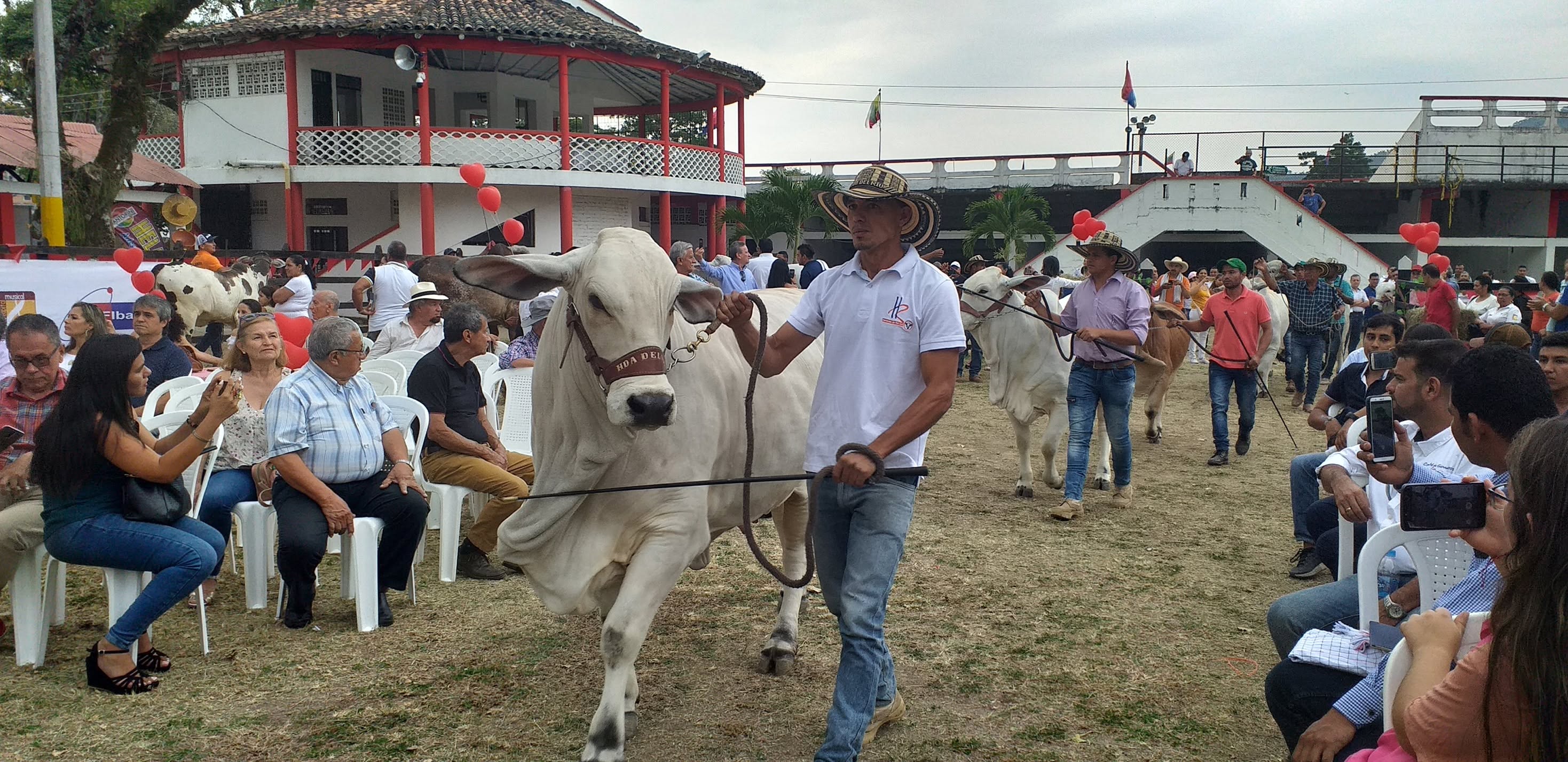 CONVENIO N° 156 DE 2022