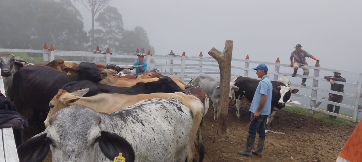 CONTRATO N° 420 DE 2021