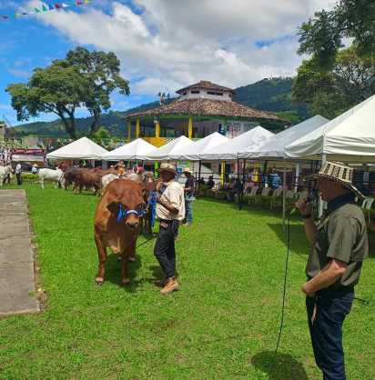 FERIA AGROPECUARIA E INDUSTRIAL BOVINA GRADO A N. 56 DE 2024